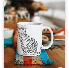 Nota Kedi Kupa