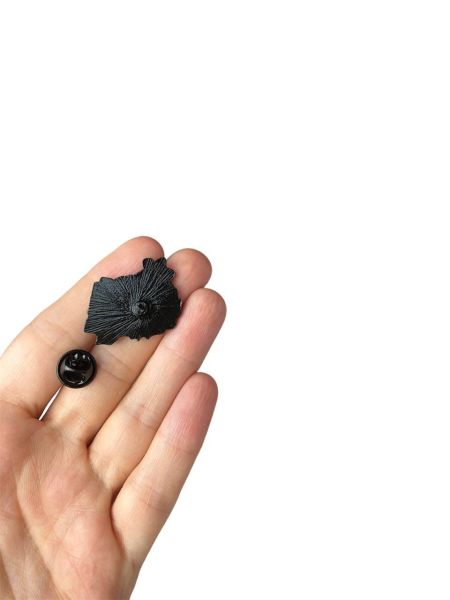 Fizik Einstein E=MC2 Bilim Formül Hediyelik Rozet