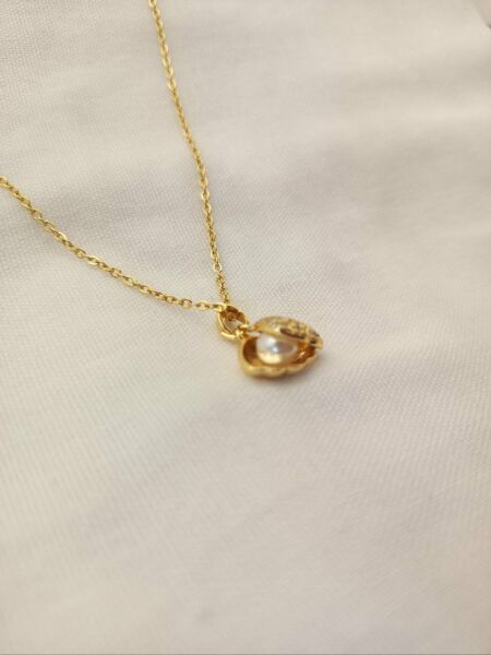Gold Renk İstiridyeye Gizlenmiş İnci, Çelik Zincirli, Kadın Kolye